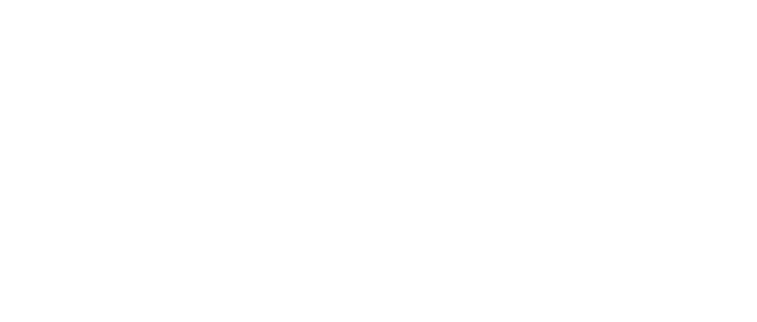 MEDIA CONNECTION Media connection considers indigenous identity of project and create the optimal story based on the identity and pursuit ideal image.